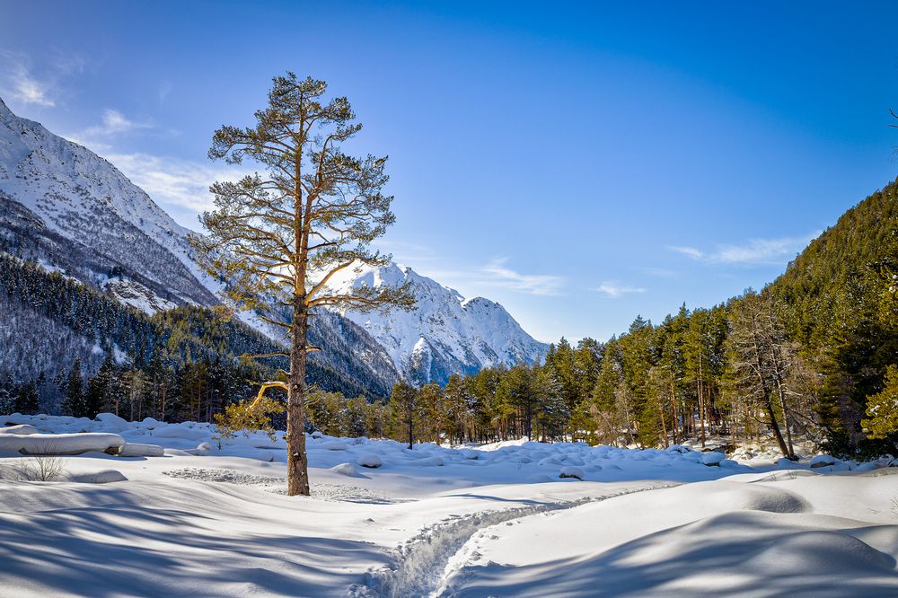 Photograph by Igor Maksimenko
