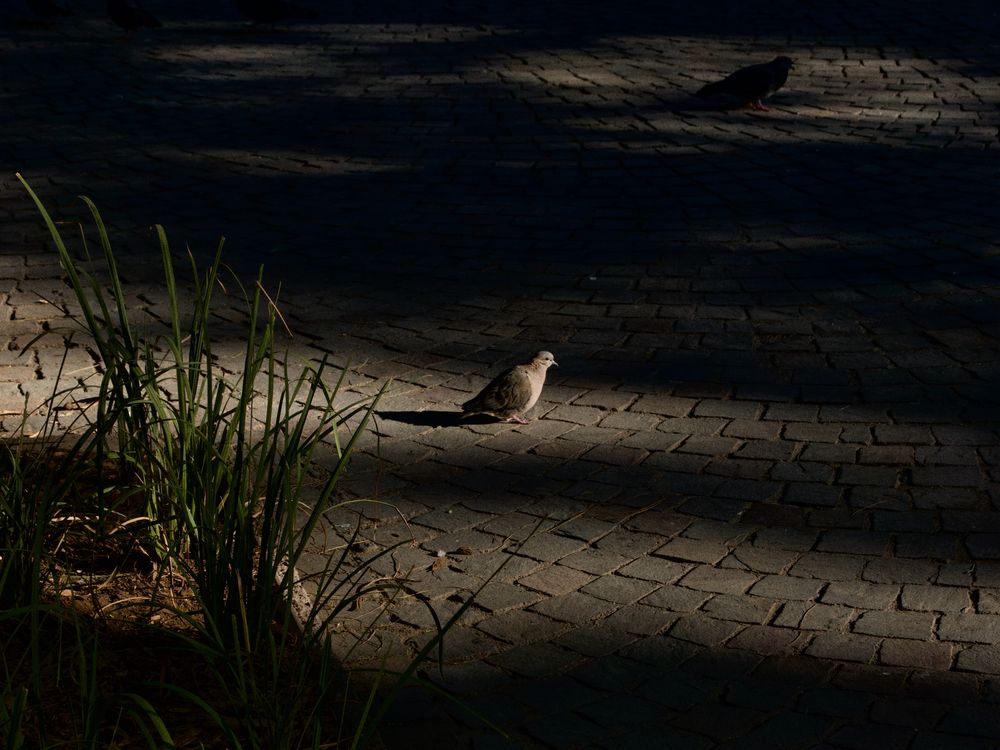 Photograph by Лина Шварц