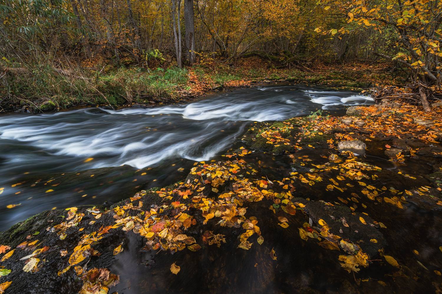 Photo #13349773