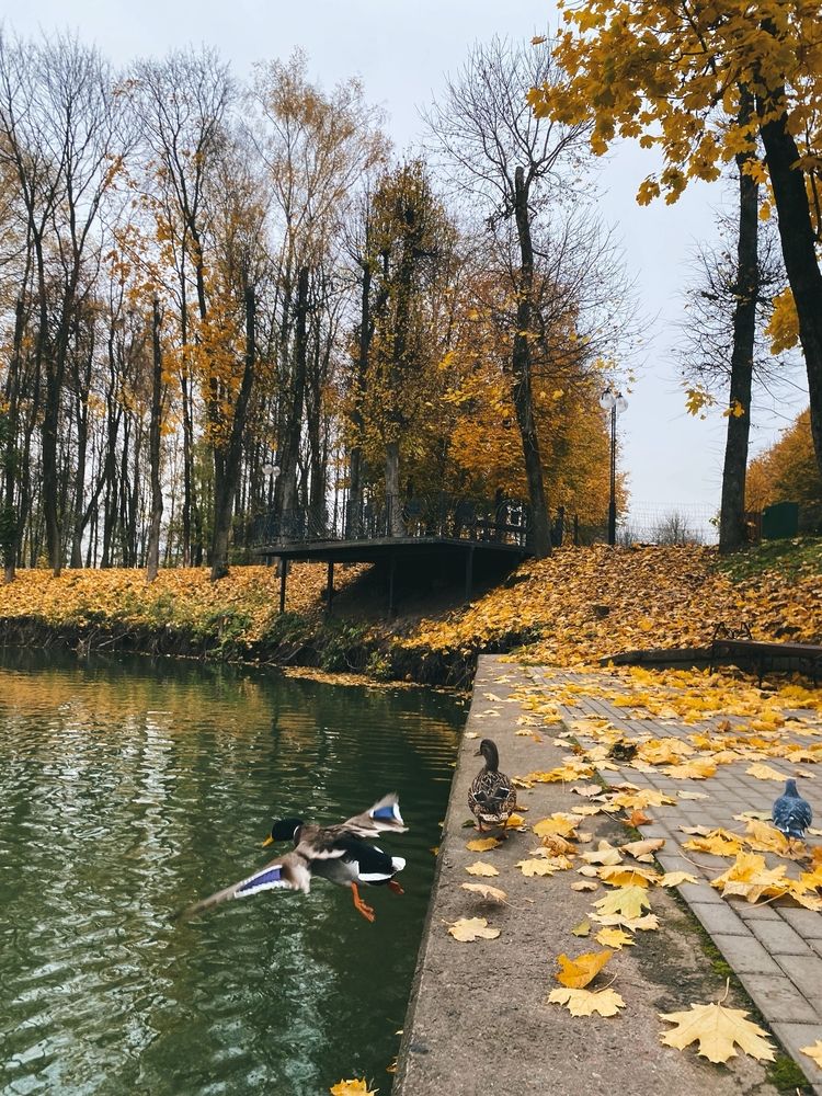 Photograph by Юля Комкина