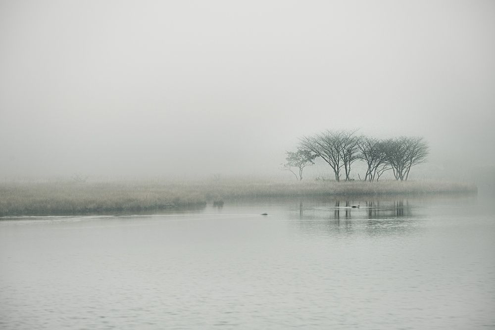 Photograph by Iwamoto Reina
