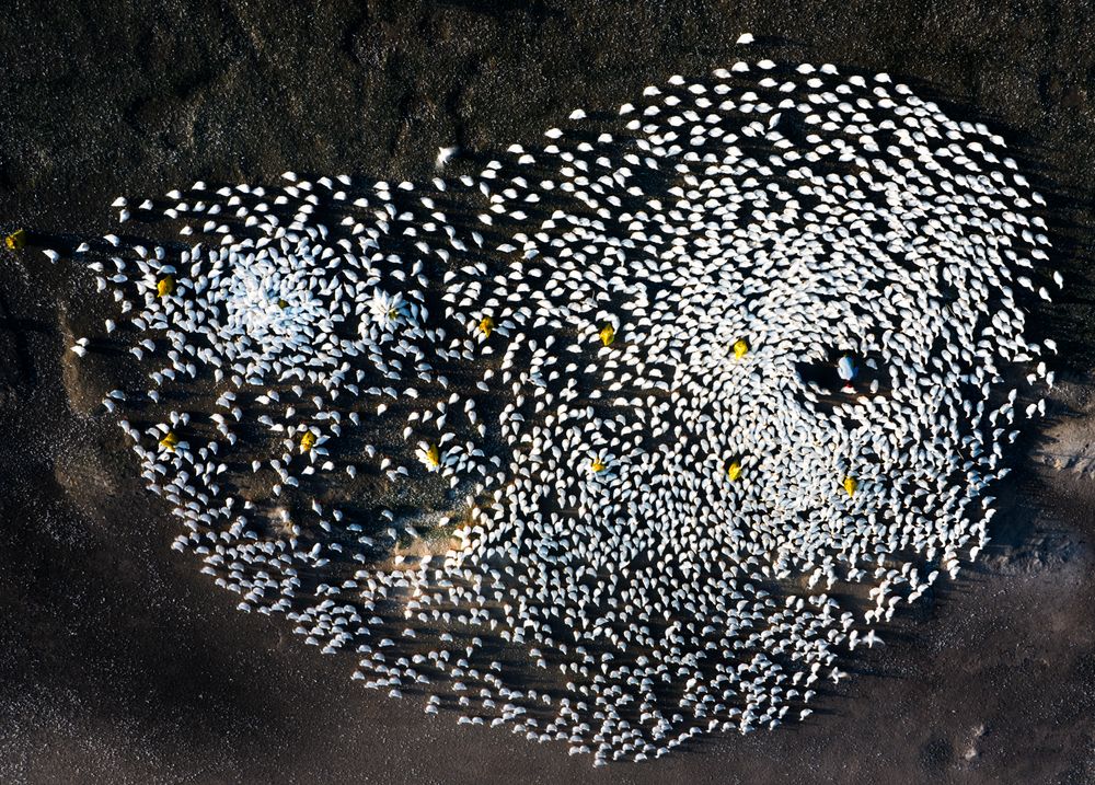 Photograph by Tuấn Nguyễn Tấn