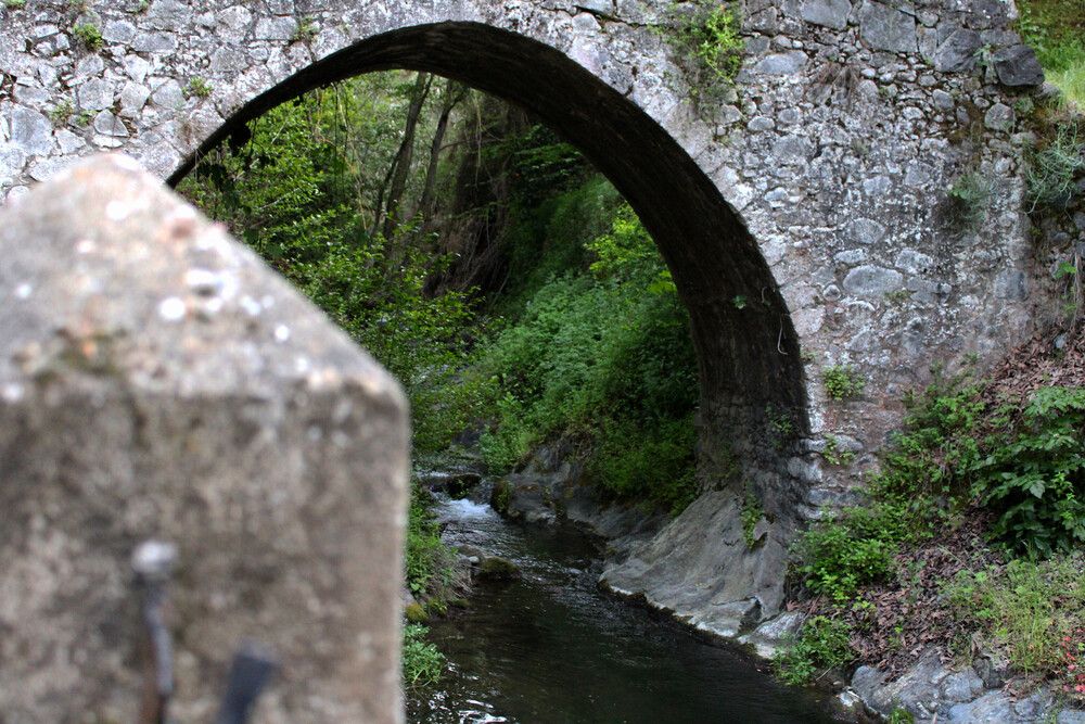 Photograph by Eleni Krommyda - Andreadi