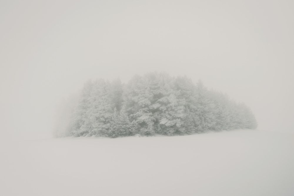 Photograph by Алексей Широбоков