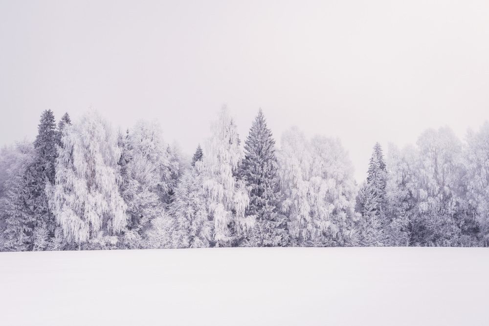 Photograph by Алексей Широбоков