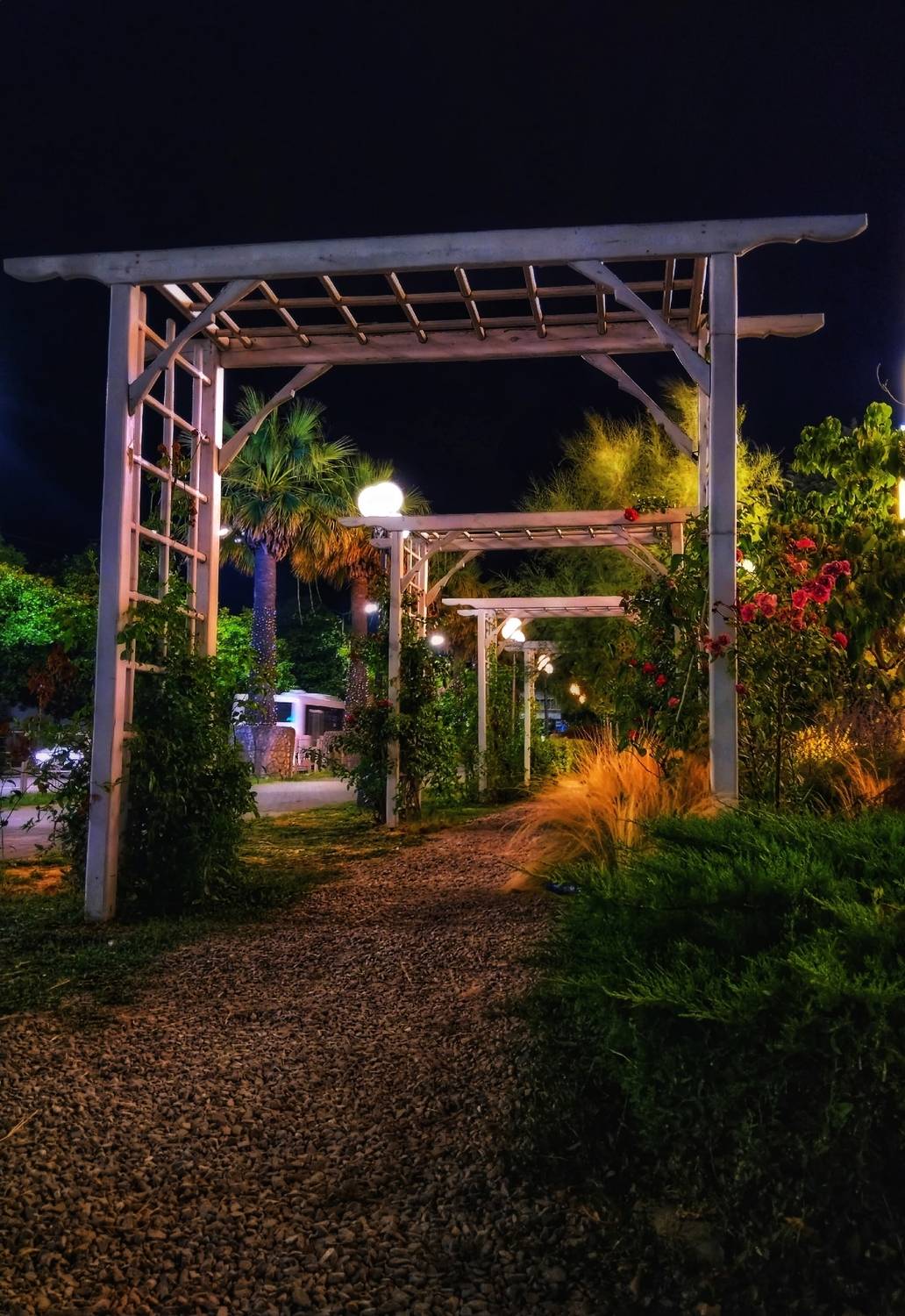 Где-то в Сочи