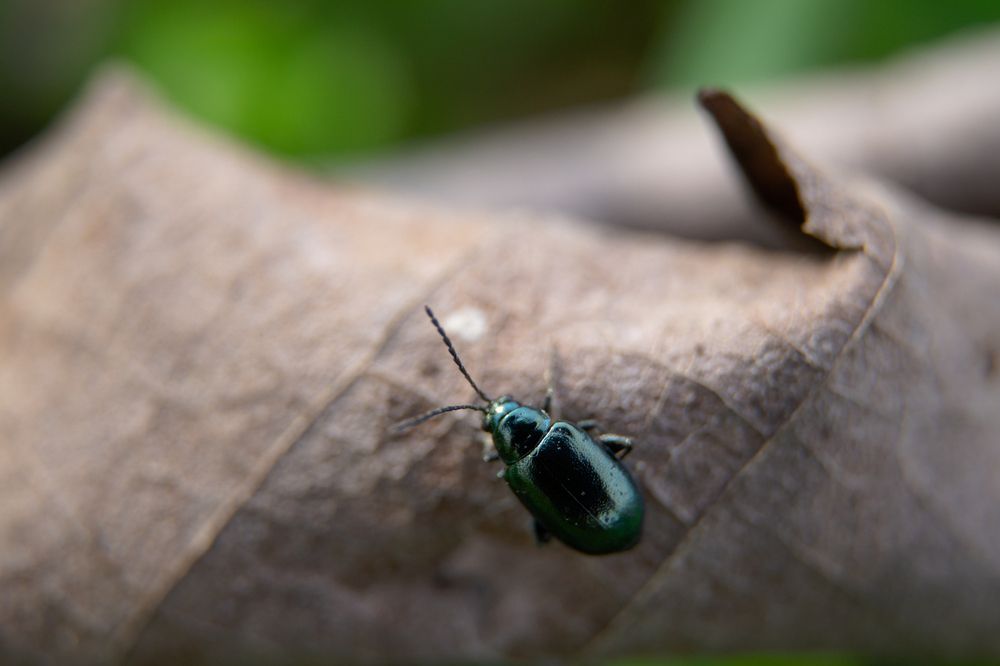 Photograph by Ариадна Подмогильная