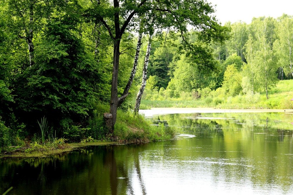 Photograph by Лебедева Светлана