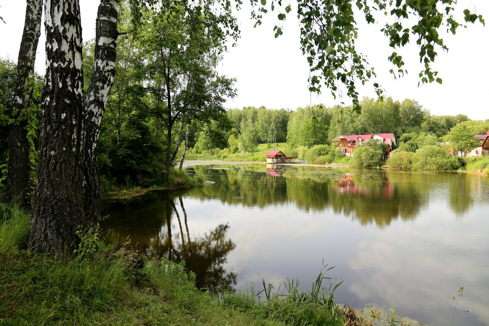 Photograph by Лебедева Светлана