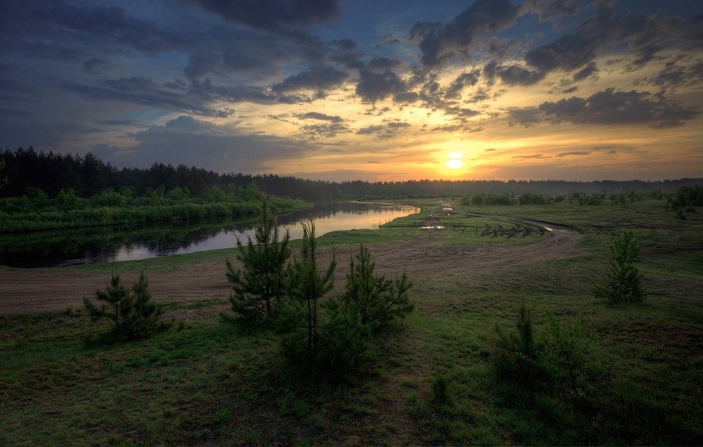 Ты меня на рассвете разбудишь...