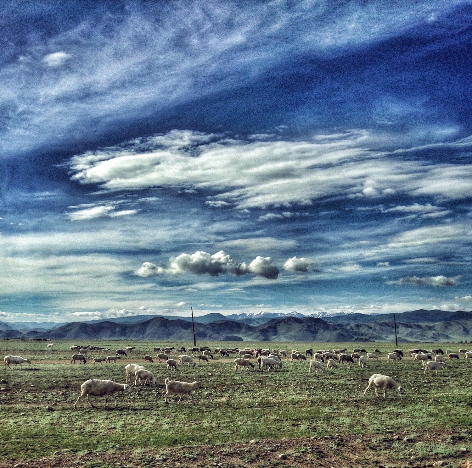 Photo #1335780