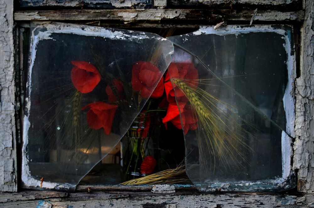 Маки на окне