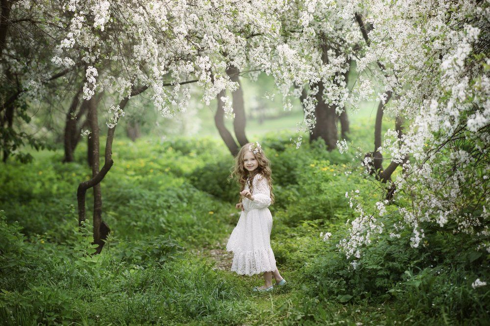 Волшебная тропинка