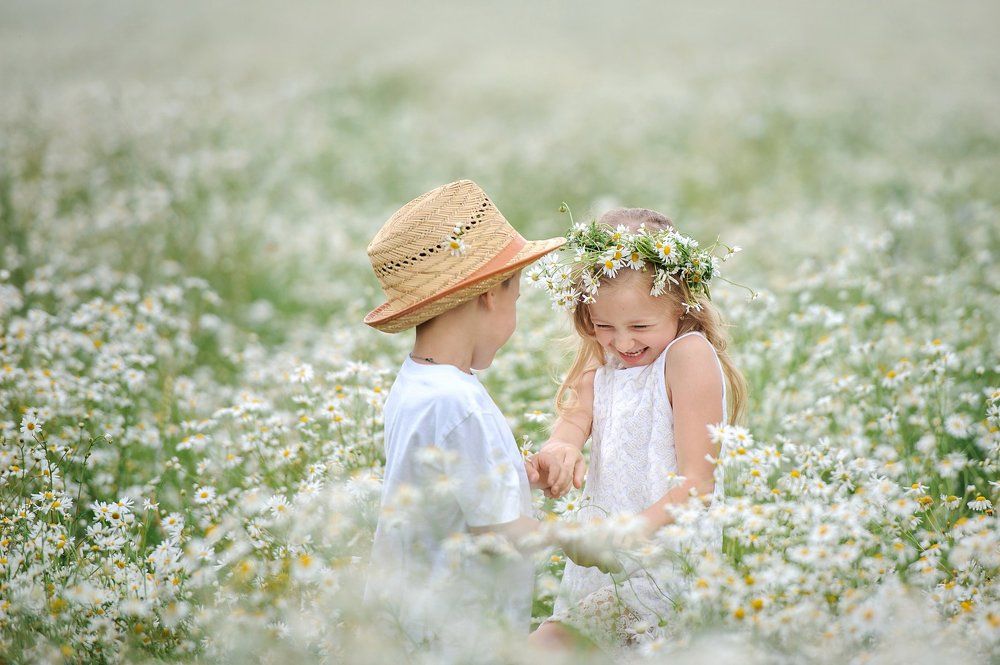 Ромашковая дружба