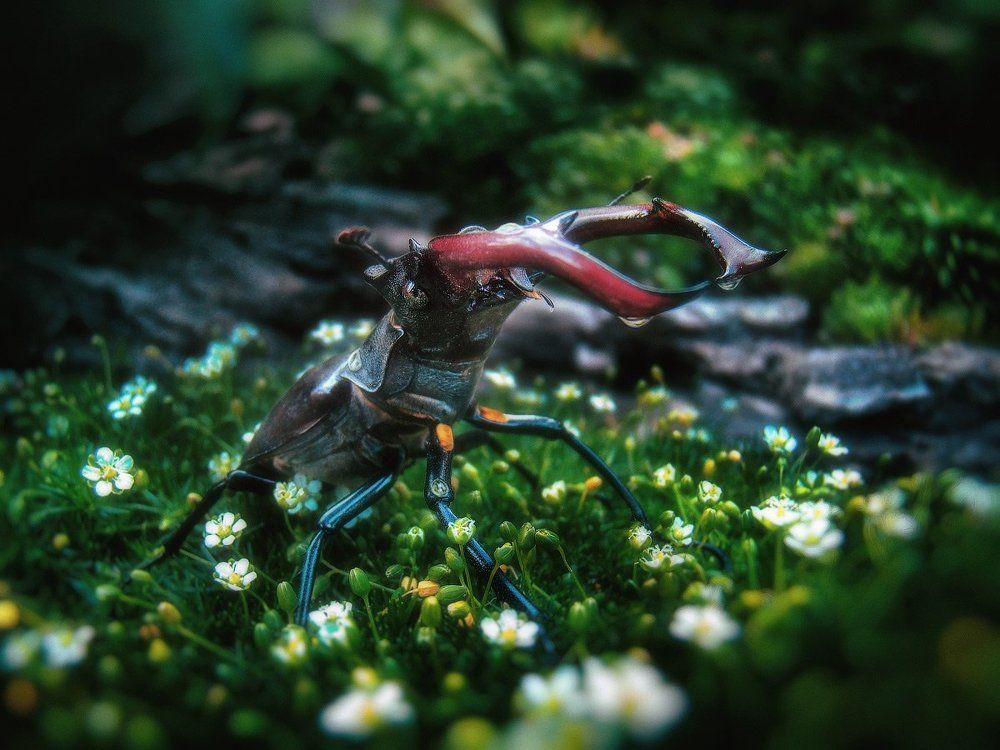 Утоляя жажду...