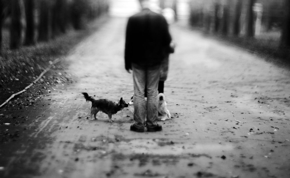 Знакомство