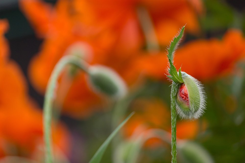 Первый взгляд на мир