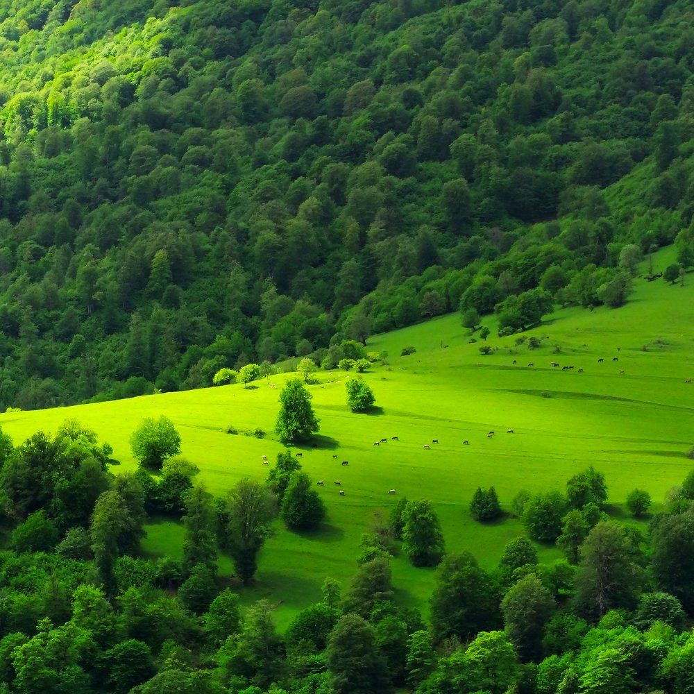 Photograph by Искендерович Р.Х.