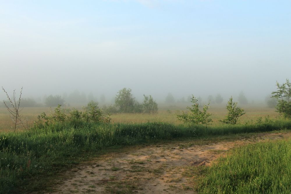 Photograph by Безногов Денис