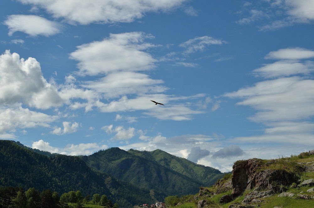 Горный Алтай, Чемал