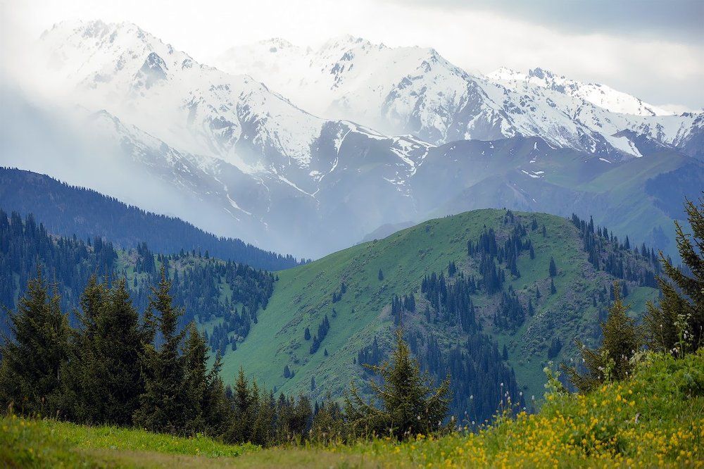 зима и лето вместе