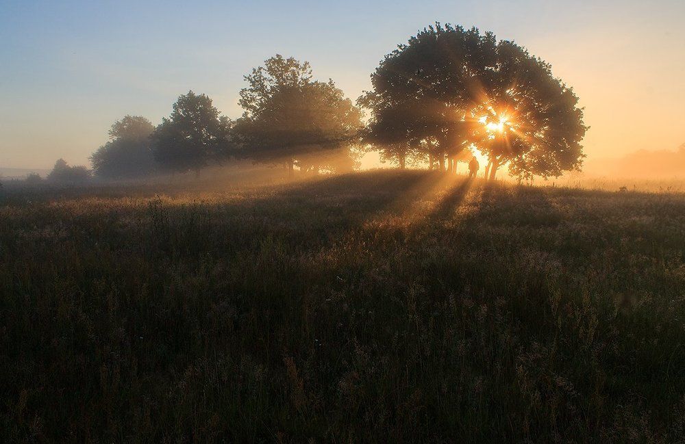 В свете нового дня