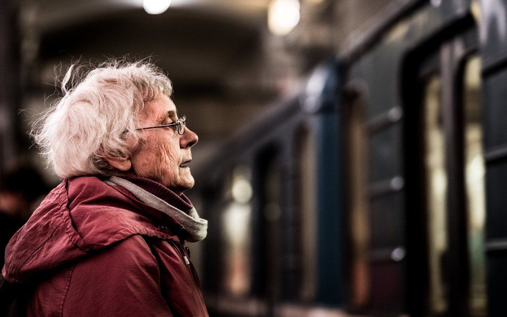 Portrait of a stranger