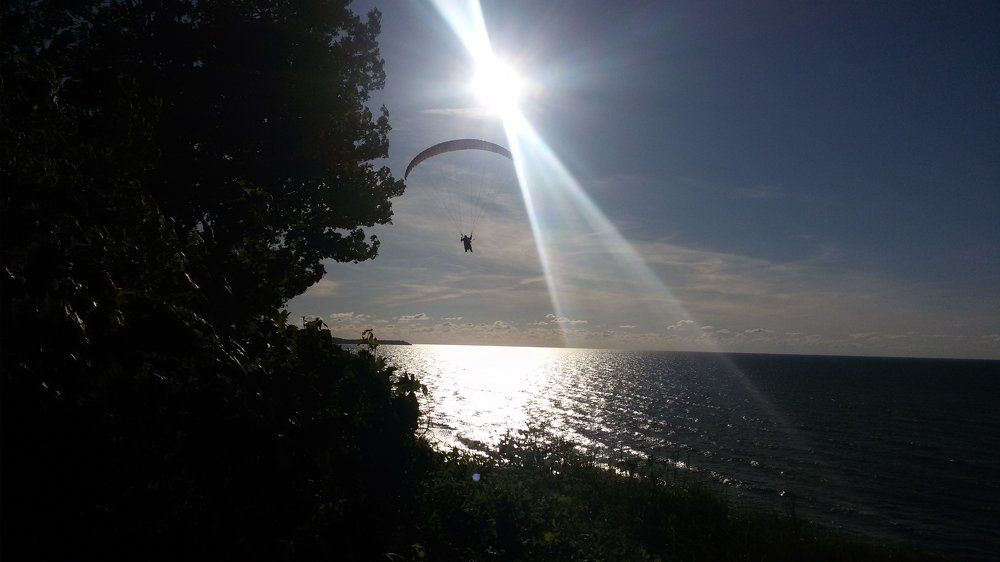 Photo #1337976