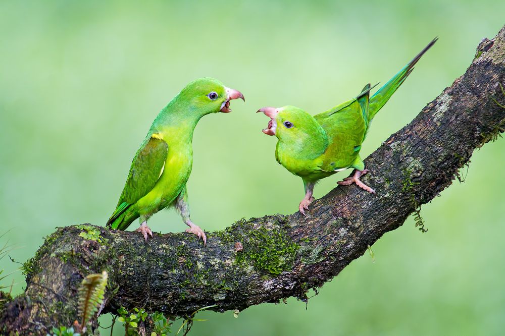 Relationship discussing