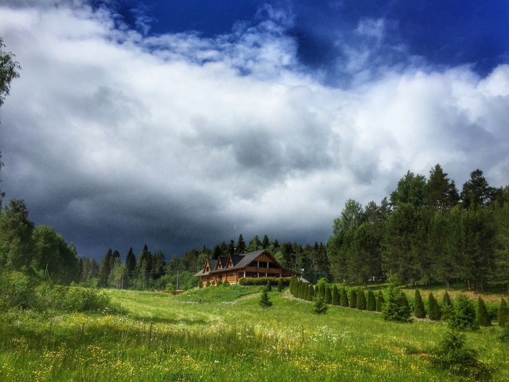 Перед дождём.