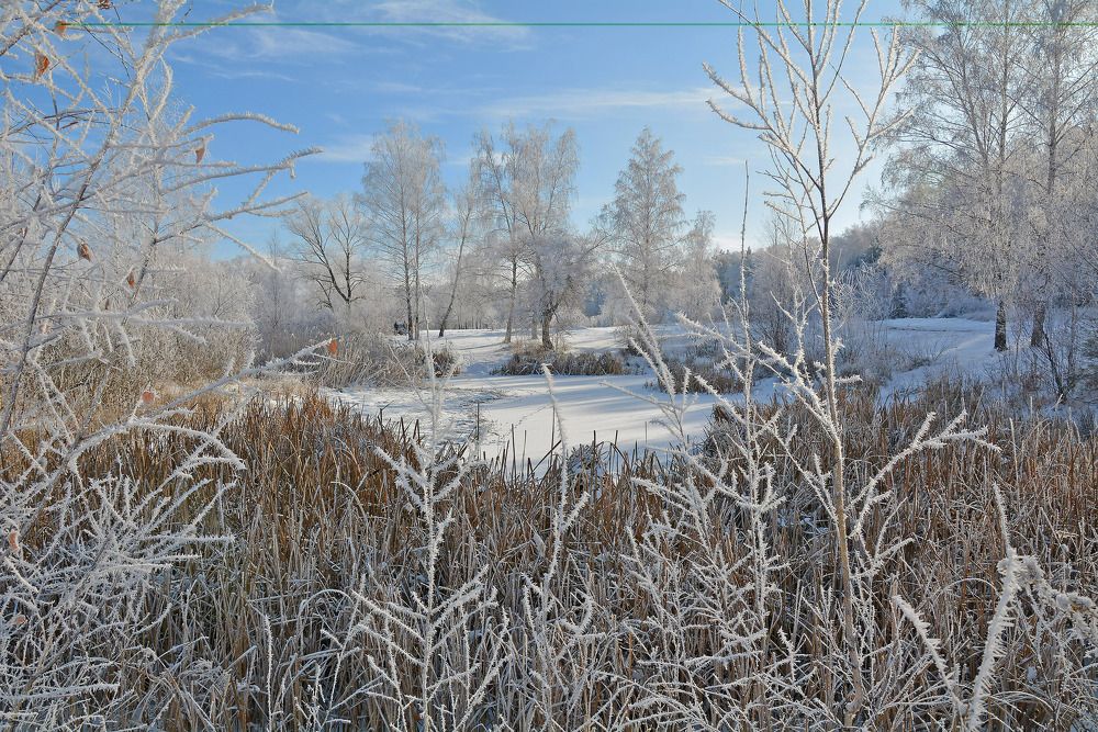 Зимний пруд