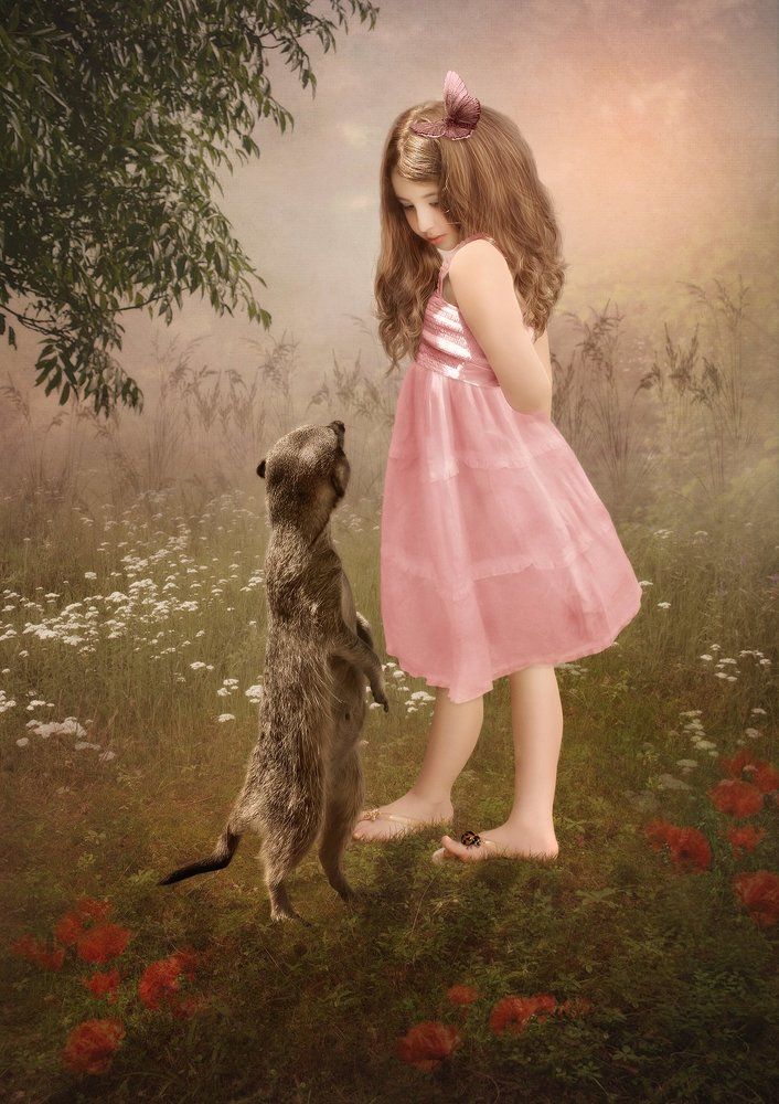 Девочка и сурикат