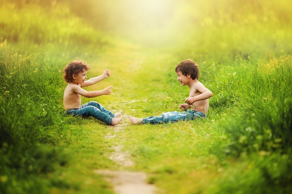 Летние зарисовки