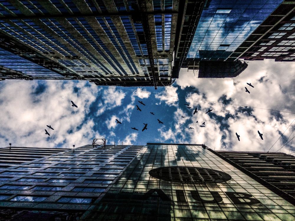 Photograph by Mahbub Alam Papun