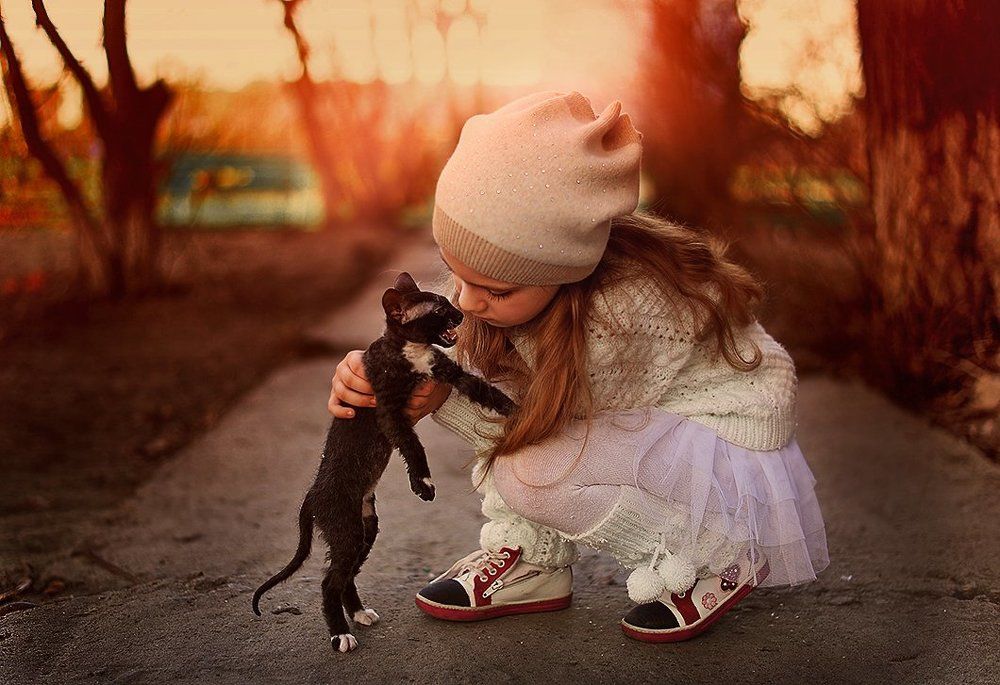 Кто сказал "Мяу"