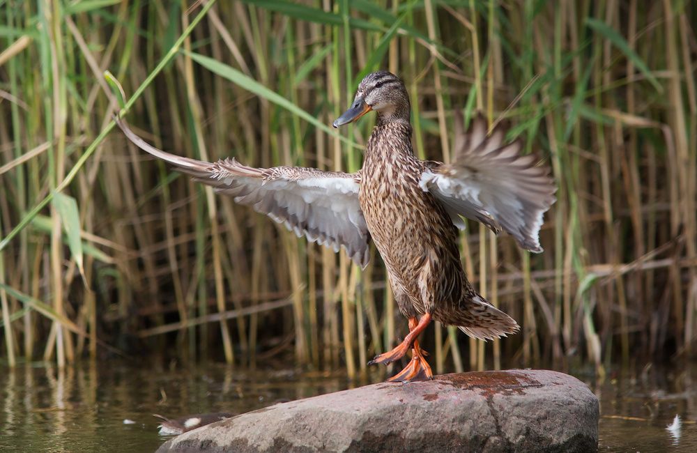 Photograph by Марина