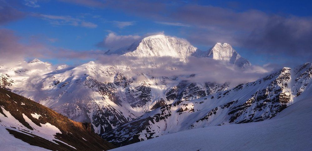 Этюд в розовых тонах