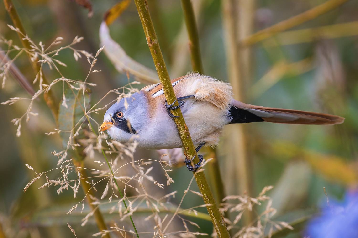 Надо дотянуться