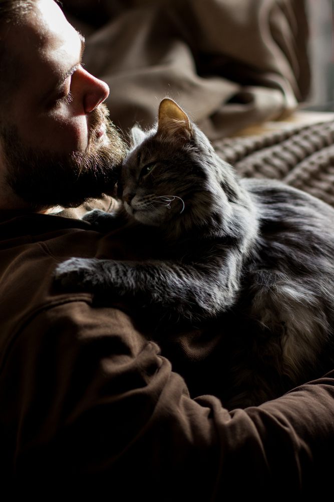 Кот Юна
