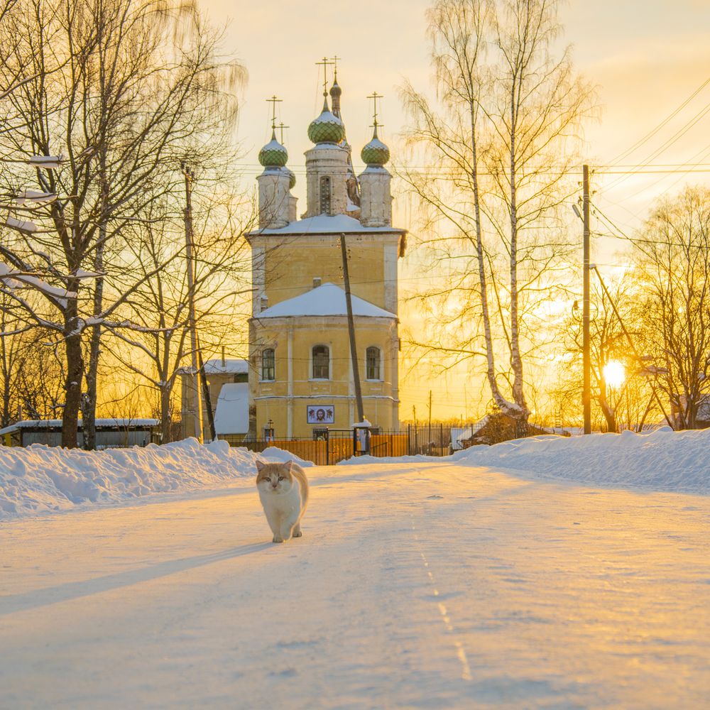 Волшебная тишина зимнего храма