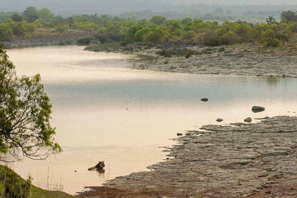 Power pauses where the river begins.