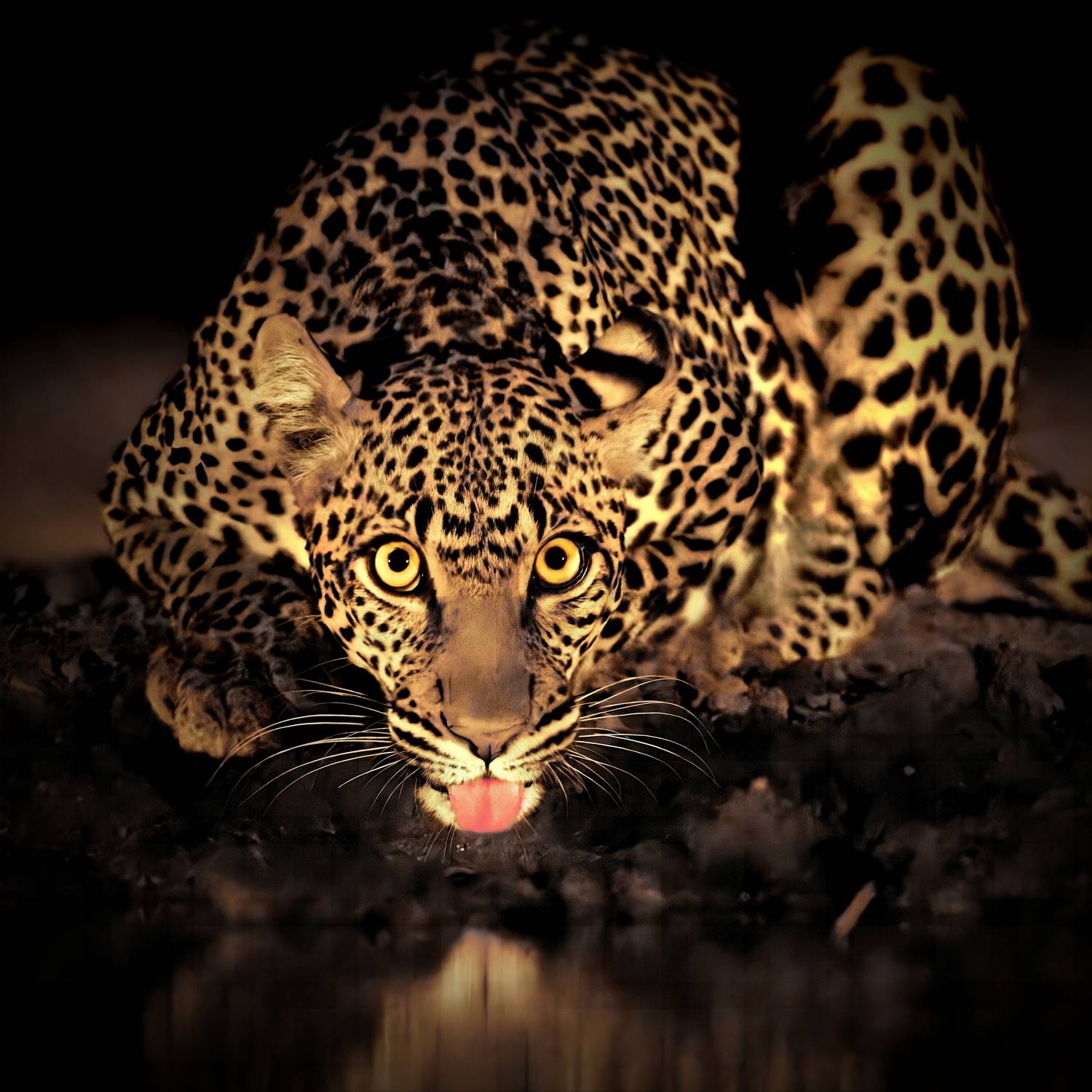 Глазастик Глазастик