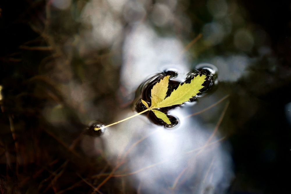 Photograph by Дина