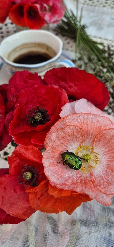 Photograph by Ольга Мусина