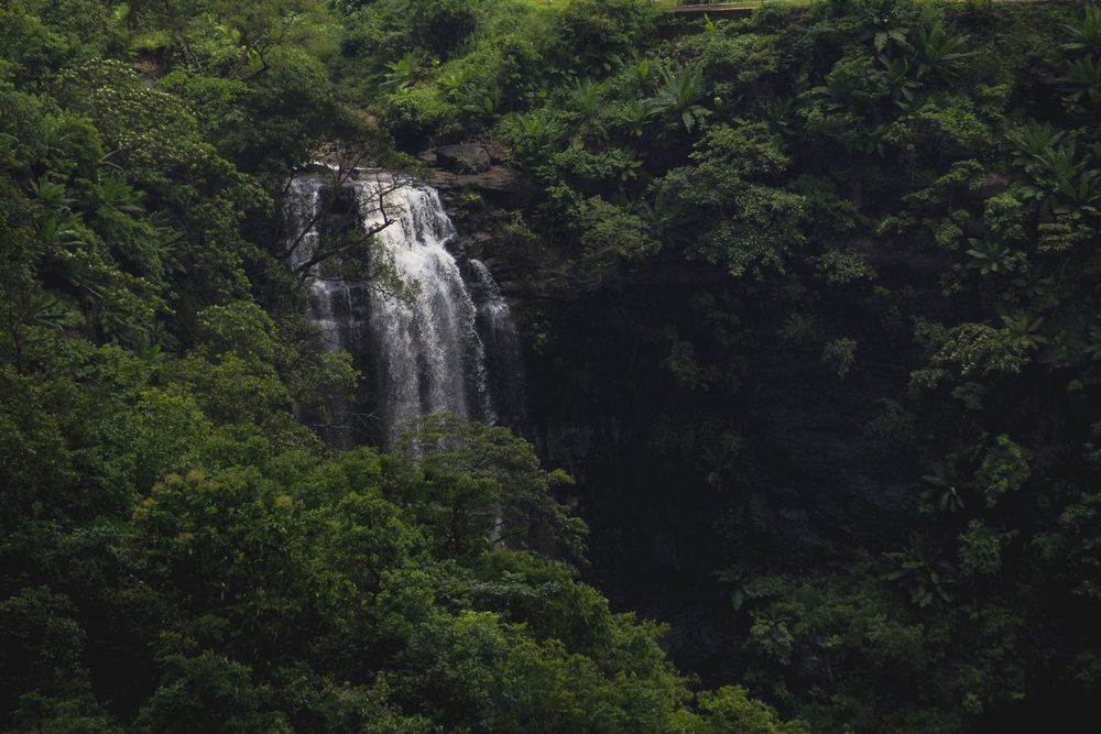 Photograph by vijay parmar