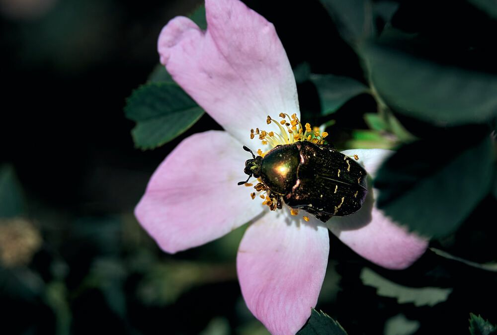 Photograph by Константин Громов