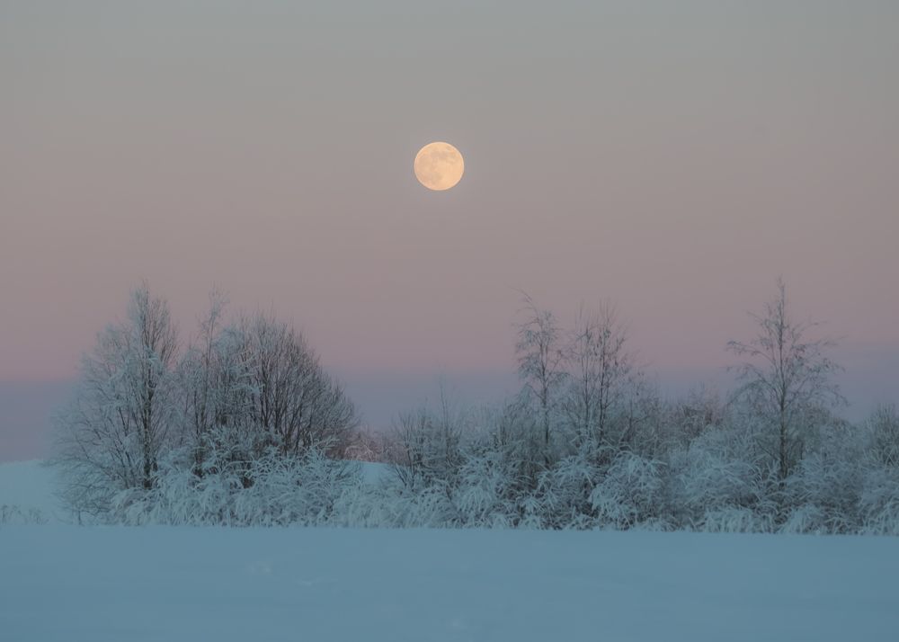 Photograph by Анастасия Алтабаева