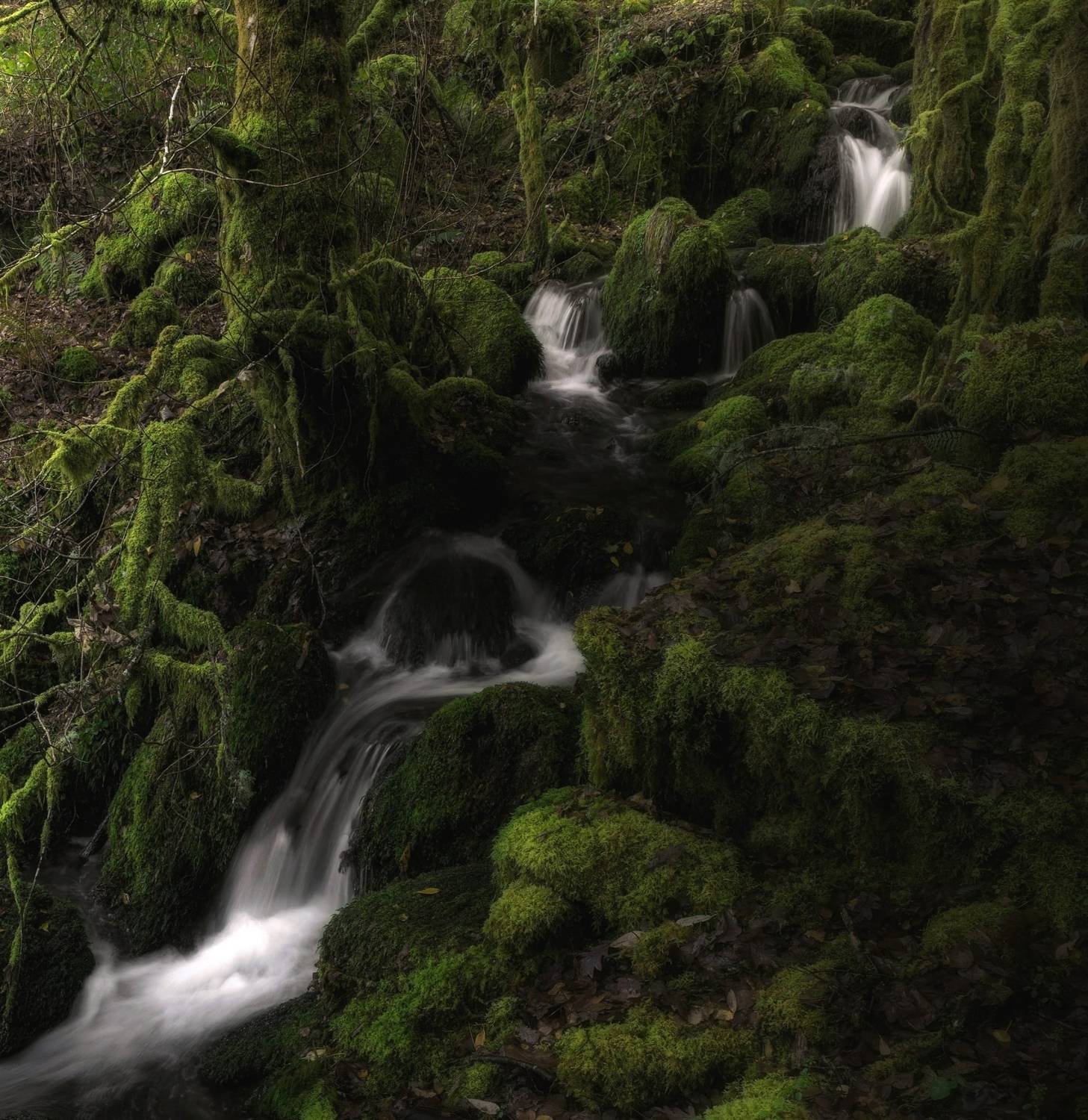Geoparque Mundial de la UNESCO Montañas do Courel Geoparque Mundial de la UNESCO Montañas do Courel