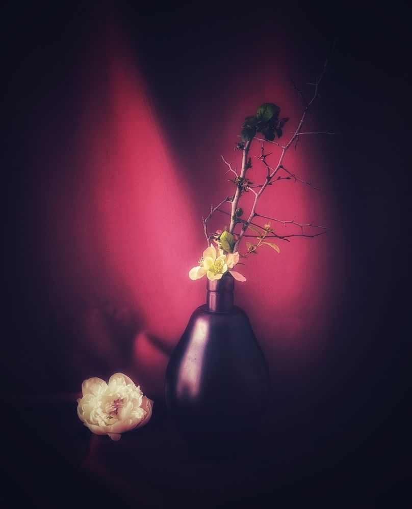 Photograph by Рамзия Хисамутдинова