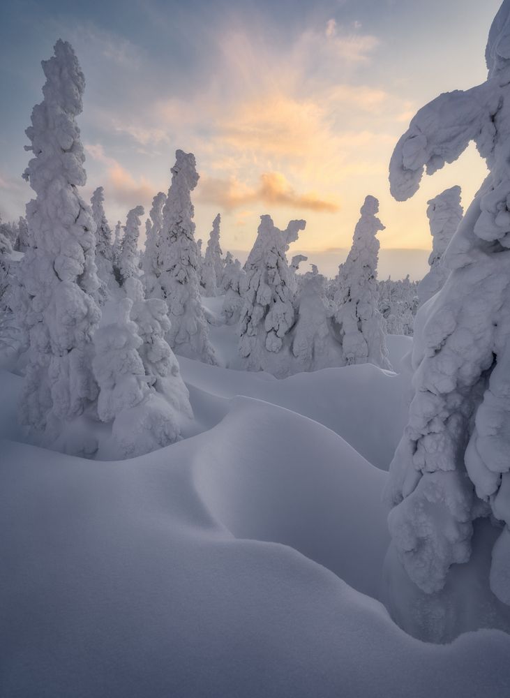 Photograph by Василий Яковлев